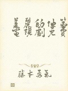 美丽的他第一季电视剧免费观看全集高清