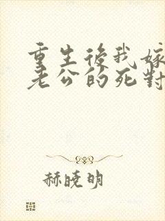 重生后我嫁给了老公的死对头 短剧