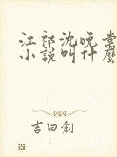 江祁沈晚棠原著小说叫什么封面