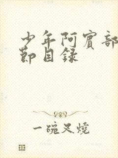 少年阿宾部分章节目录