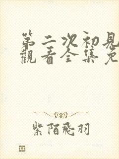 第二次初见在线观看全集免费播放