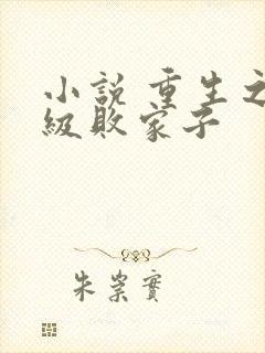 小说 重生之神级败家子