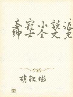 妾宠小说流浪的绅士全文免费阅读封面