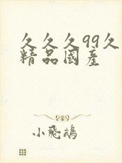 久久久99久久精品国产封面