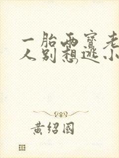 一胎两宝老婆大人别想逃小说全文免费阅读