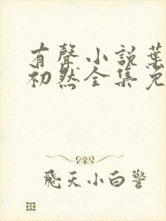 有声小说叶辰萧初然全集免费收听