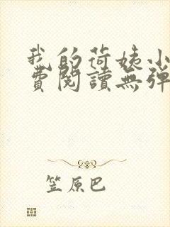 我的荷姨小说免费阅读无弹窗