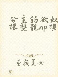 公主的欲奴h四根双龙np视频