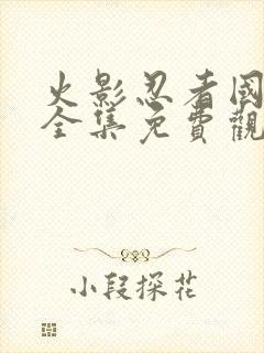 火影忍者国语版全集免费观看