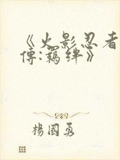 《火影忍者疾风传:羁绊》