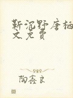 靳沉野唐栖雾全文免费