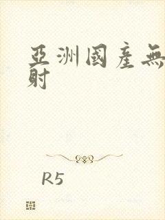 亚洲国产无套内射