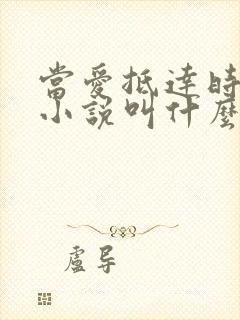 当爱抵达时原著小说叫什么封面