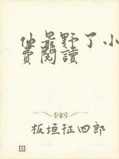 他最野了小说免费阅读封面