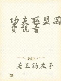 功夫联盟国语免费观看