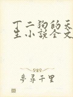 丁二狗的天梯人生小说全文免费阅读
