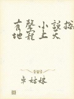 有声小说总裁爹地宠上天