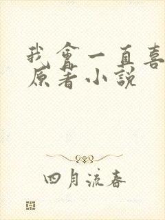 我会一直喜欢你原著小说