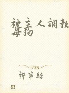 被主人调教成骚母狗封面