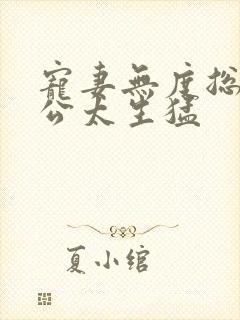 宠妻无度总裁老公太生猛封面