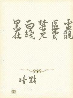 黑白禁区电视剧在线免费观看全集