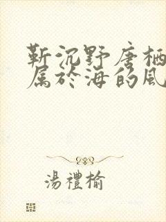 靳沉野唐栖雾不属于海的风