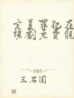 完美罪犯在线电视剧免费观看全集