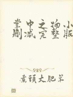 掌中之物小说无删减完整版