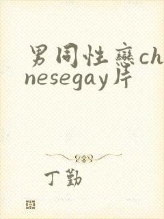 男同性恋chinesegay片