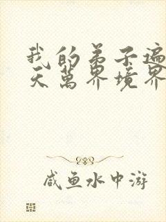 我的弟子遍布诸天万界境界排名说明