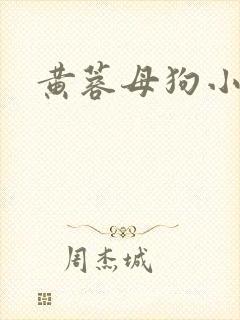 黄蓉母狗小说