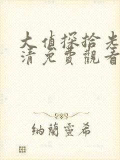 大侦探拾光季高清免费观看完整版封面