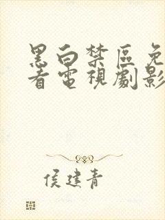 黑白禁区免费观看电视剧影视大全封面