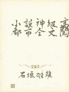 小说神级高手在都市全文阅读封面