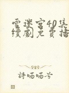 雪迷宫40集连续剧免费播放封面