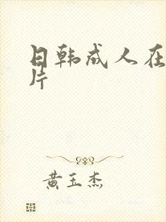 日韩成人在线毛片