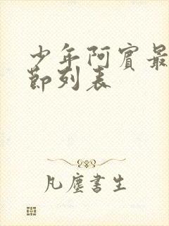 少年阿宾最新章节列表封面