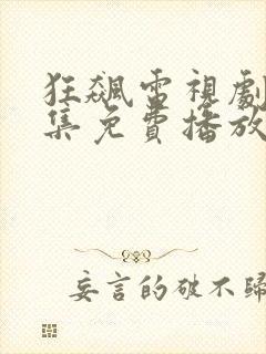 狂飙电视剧40集免费播放在线观看