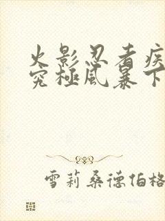 火影忍者疾风传究极风暴下载