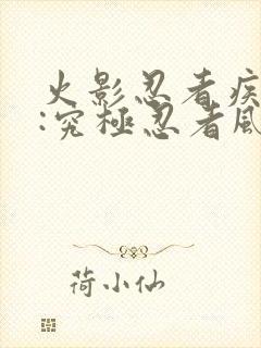 火影忍者疾风传:究极忍者风暴