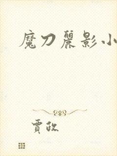 魔刀丽影小说封面