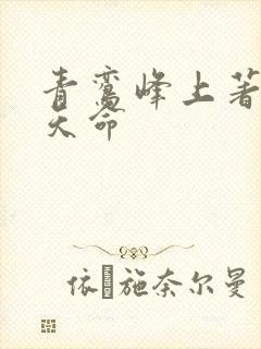 青鸾峰上著无敌天命封面