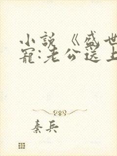 小说 《盛世婚宠:老公送上门》