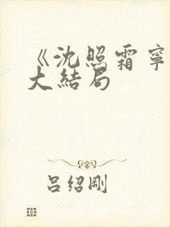 《沈照霜宁砚》大结局封面