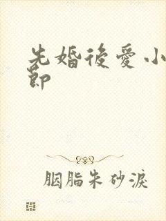 先婚后爱小说章节