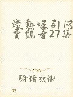 炽热吸引网剧免费观看27集