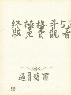 终极格斗5国语版免费观看封面