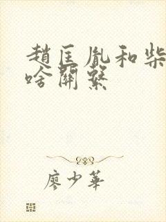 赵匡胤和柴荣是啥关系