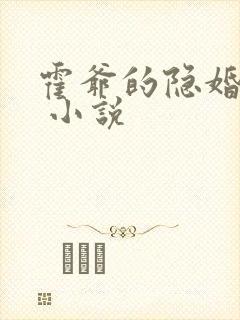 霍爷的隐婚罪妻 小说