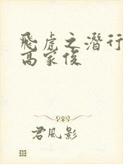 飞虎之潜行极战高家俊封面